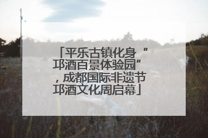 平乐古镇化身“邛酒百景体验园”，成都国际非遗节邛酒文化周启幕