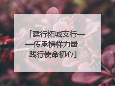 建行柘城支行——传承榜样力量 践行使命初心