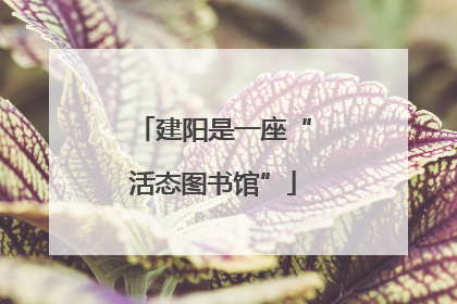 建阳是一座“活态图书馆”