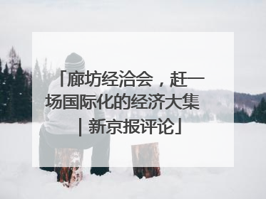 廊坊经洽会，赶一场国际化的经济大集｜新京报评论