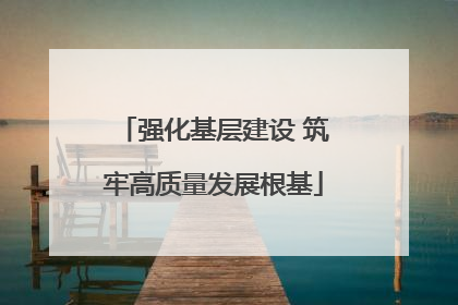 强化基层建设 筑牢高质量发展根基