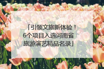 引领文旅新体验！6个项目入选河南省旅游演艺精品名录