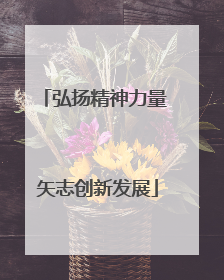 弘扬精神力量 矢志创新发展