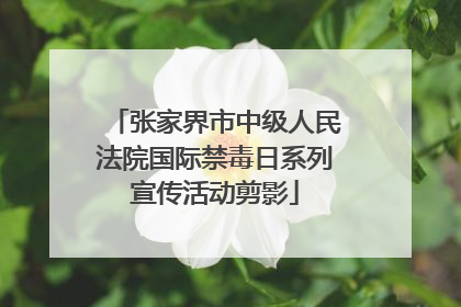 张家界市中级人民法院国际禁毒日系列宣传活动剪影