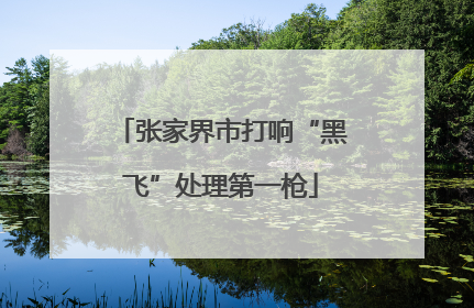 张家界市打响“黑飞”处理第一枪