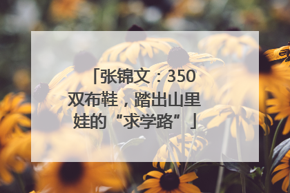 张锦文：350双布鞋，踏出山里娃的“求学路”