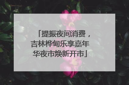 提振夜间消费，吉林桦甸乐享嘉年华夜市焕新开市