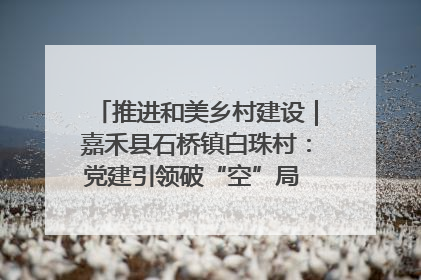 推进和美乡村建设｜嘉禾县石桥镇白珠村：党建引领破“空”局 乡贤聚力绘就新图景