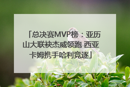 总决赛MVP榜：亚历山大联袂杰威领跑 西亚卡姆携手哈利竞逐