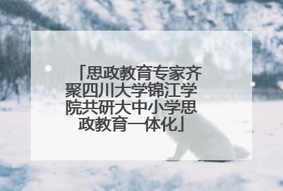 思政教育专家齐聚四川大学锦江学院共研大中小学思政教育一体化