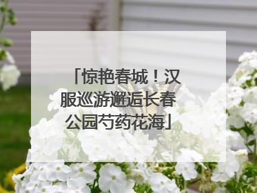 惊艳春城！汉服巡游邂逅长春公园芍药花海