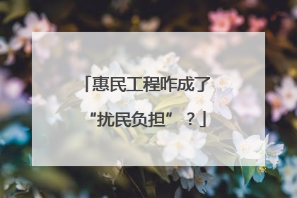 惠民工程咋成了“扰民负担”？