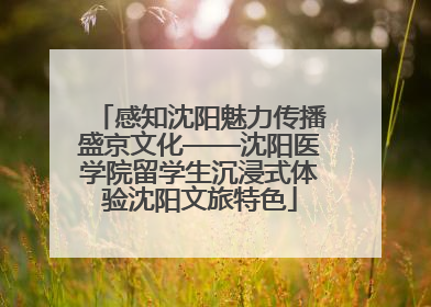 感知沈阳魅力传播盛京文化——沈阳医学院留学生沉浸式体验沈阳文旅特色