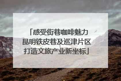 感受街巷咖啡魅力 昆明铁皮巷及巡津片区打造文旅产业新坐标