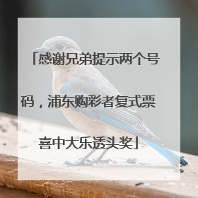 感谢兄弟提示两个号码，浦东购彩者复式票喜中大乐透头奖