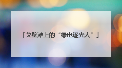 戈壁滩上的“绿电逐光人”