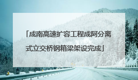 成南高速扩容工程成阿分离式立交桥钢箱梁架设完成