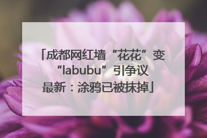 成都网红墙“花花”变“labubu”引争议 最新：涂鸦已被抹掉