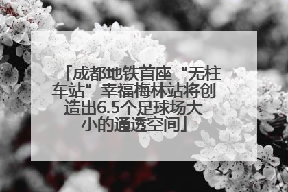 成都地铁首座“无柱车站”幸福梅林站将创造出6.5个足球场大小的通透空间