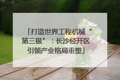 打造世界工程机械“第三极”：长沙经开区引领产业格局重塑