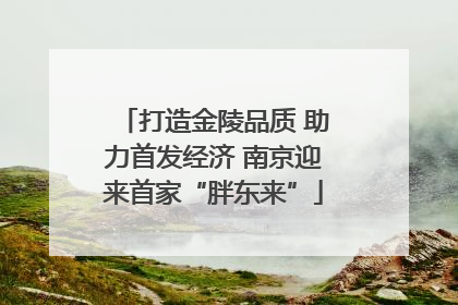 打造金陵品质 助力首发经济 南京迎来首家“胖东来”