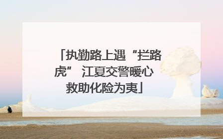执勤路上遇“拦路虎” 江夏交警暖心救助化险为夷