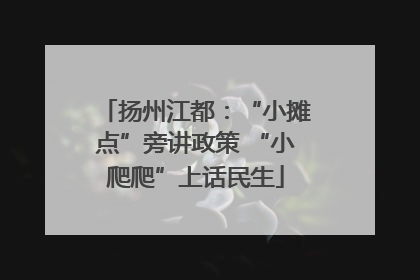 扬州江都：“小摊点”旁讲政策 “小爬爬”上话民生