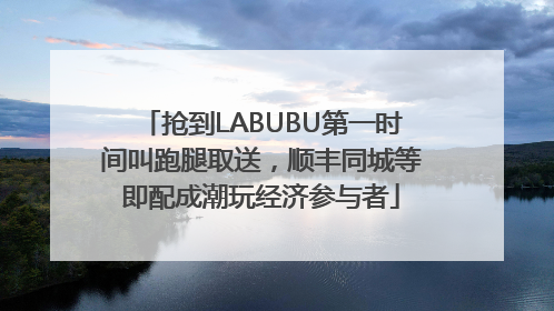 抢到LABUBU第一时间叫跑腿取送，顺丰同城等即配成潮玩经济参与者