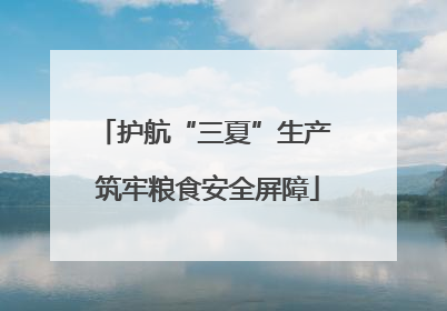 护航“三夏”生产 筑牢粮食安全屏障
