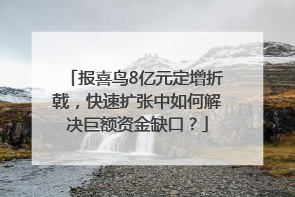 报喜鸟8亿元定增折戟，快速扩张中如何解决巨额资金缺口？