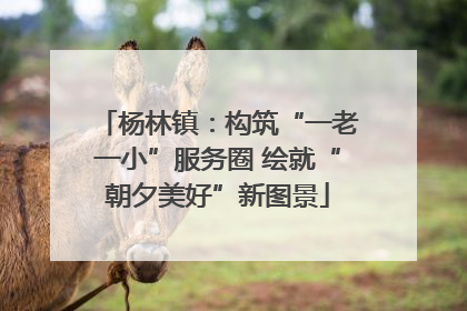 杨林镇：构筑“一老一小”服务圈 绘就“朝夕美好”新图景