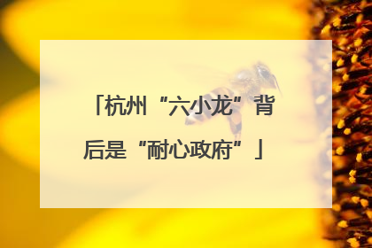 杭州“六小龙”背后是“耐心政府”