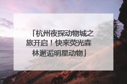 杭州夜探动物城之旅开启！快来荧光森林邂逅明星动物