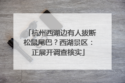 杭州西湖边有人拔断松鼠尾巴？西湖景区：正展开调查核实