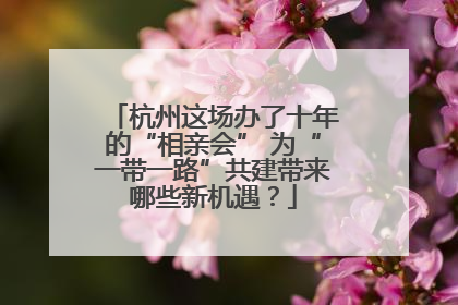 杭州这场办了十年的“相亲会” 为“一带一路”共建带来哪些新机遇？