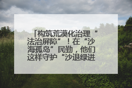 构筑荒漠化治理“法治屏障”！在“沙海孤岛”民勤，他们这样守护“沙退绿进”的生态奇迹