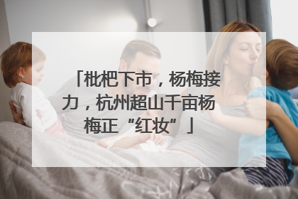 枇杷下市，杨梅接力，杭州超山千亩杨梅正“红妆”