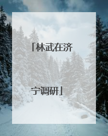 林武在济宁调研