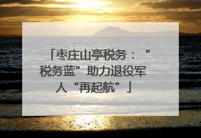 枣庄山亭税务：“税务蓝”助力退役军人“再起航”