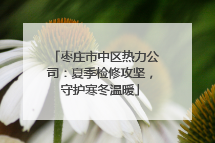 枣庄市中区热力公司：夏季检修攻坚，守护寒冬温暖