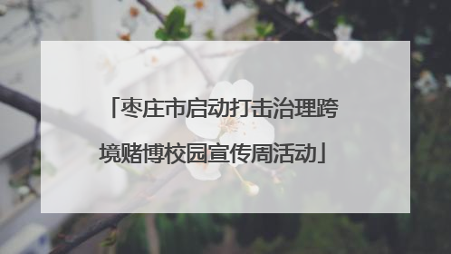 枣庄市启动打击治理跨境赌博校园宣传周活动