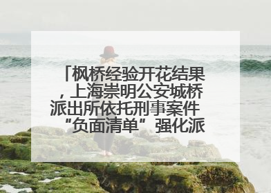 枫桥经验开花结果，上海崇明公安城桥派出所依托刑事案件“负面清单”强化派出所“主防”