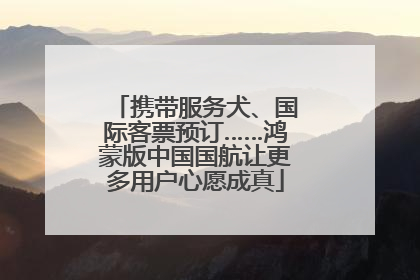 携带服务犬、国际客票预订……鸿蒙版中国国航让更多用户心愿成真