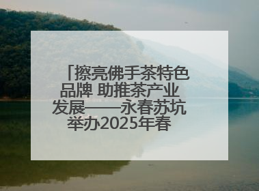 擦亮佛手茶特色品牌 助推茶产业发展——永春苏坑举办2025年春季佛手茶王赛