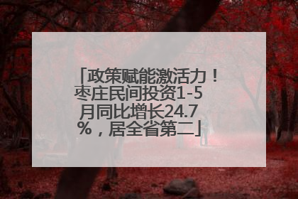 政策赋能激活力！枣庄民间投资1-5月同比增长24.7%，居全省第二
