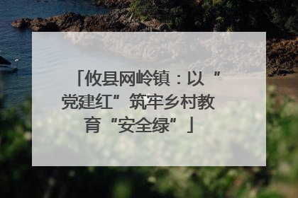 攸县网岭镇：以“党建红”筑牢乡村教育“安全绿”