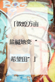 敦煌万亩盐碱地变“希望田”
