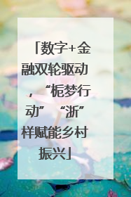 数字+金融双轮驱动，“栀梦行动”“浙”样赋能乡村振兴