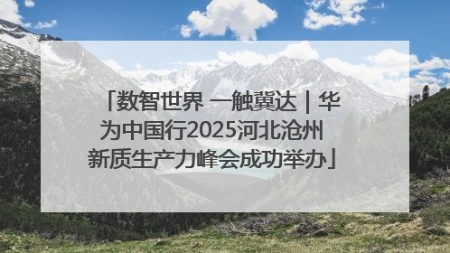 数智世界 一触冀达｜华为中国行2025河北沧州新质生产力峰会成功举办