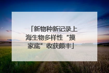 新物种新记录上海生物多样性“摸家底”收获颇丰